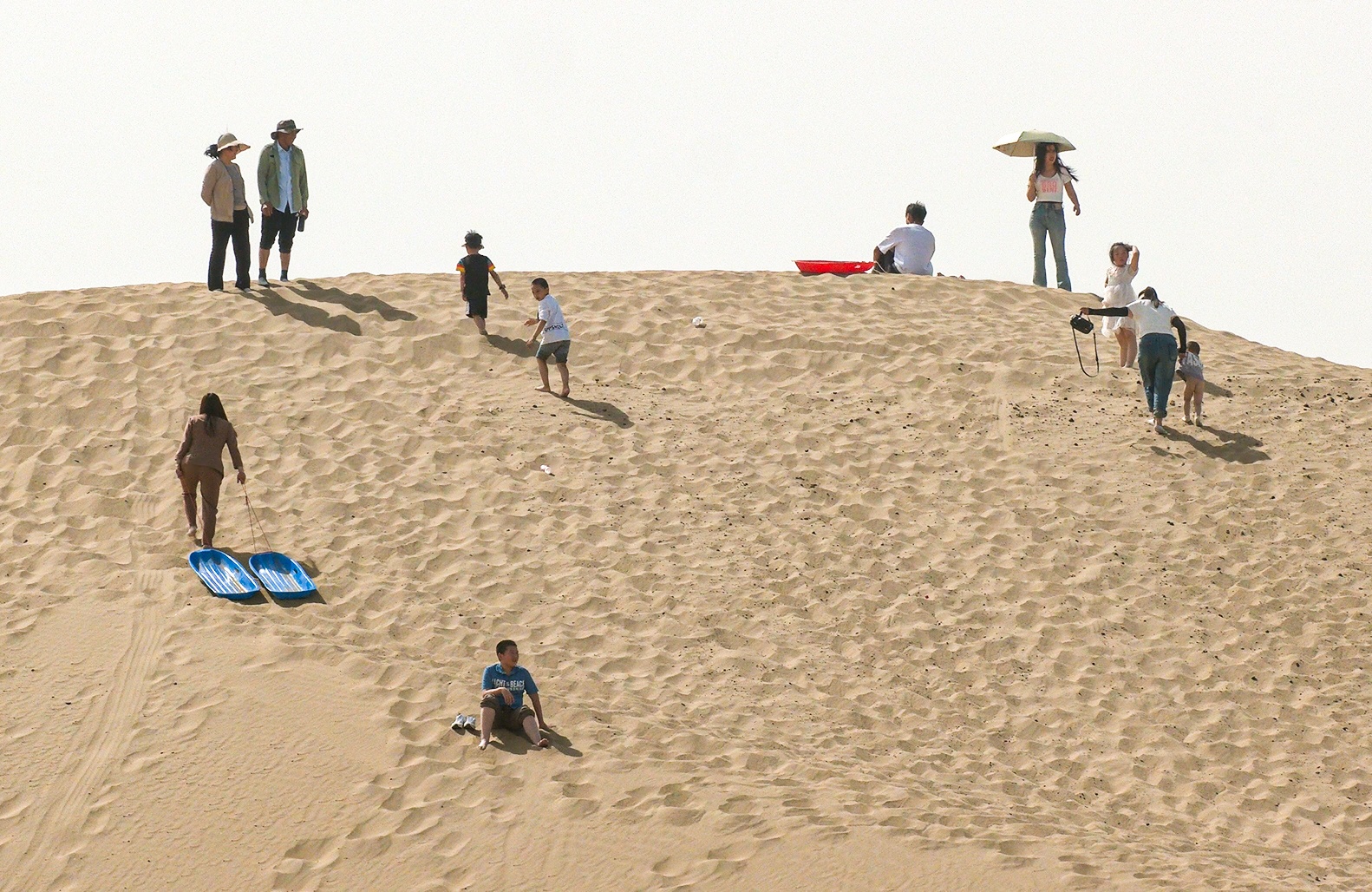 尉犁：“沙漠游”热度高多样服务提升游客体验(图4)