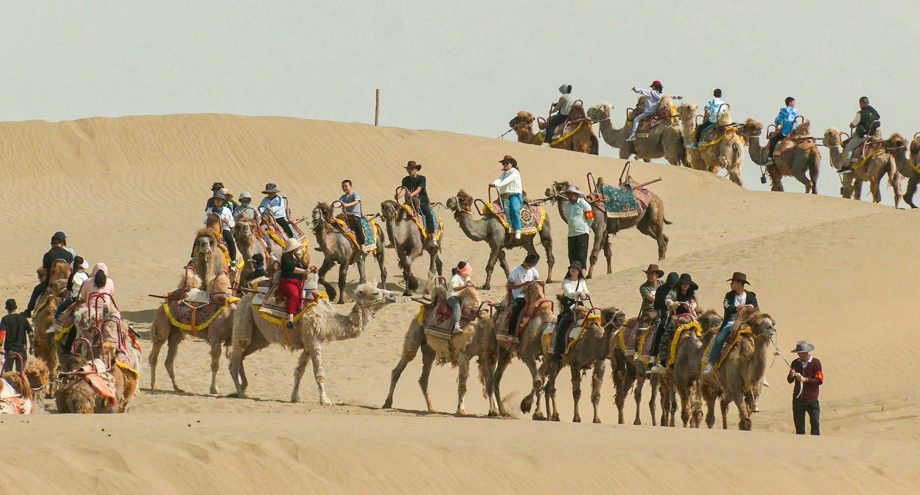 尉犁：“沙漠游”热度高多样服务提升游客体验(图5)