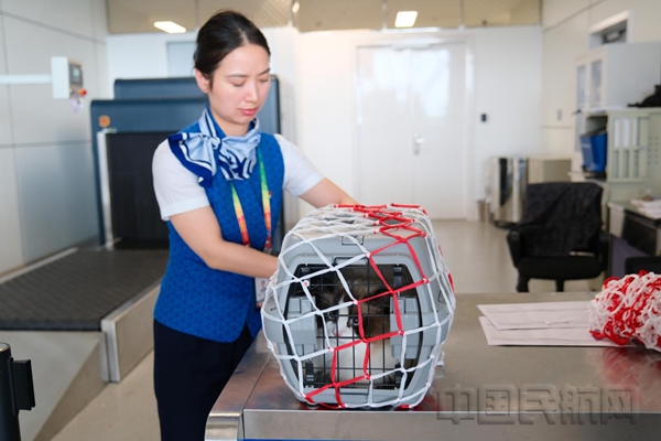 带上“毛孩子”快乐旅行宁波机场推出阳光“爱宠”畅飞服务(图3)