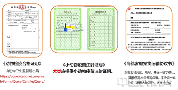 带上“毛孩子”快乐旅行宁波机场推出阳光“爱宠”畅飞服务(图2)