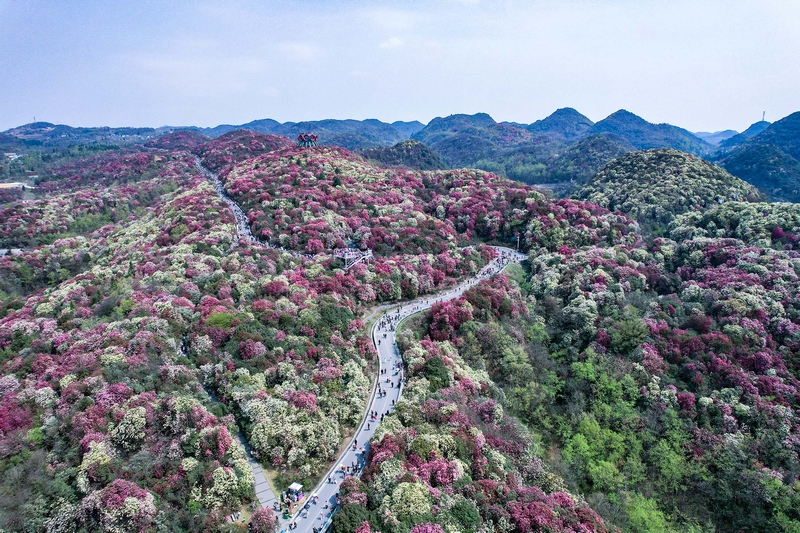贵州：推动文旅深度融合打造世界级旅游目的地(图3)