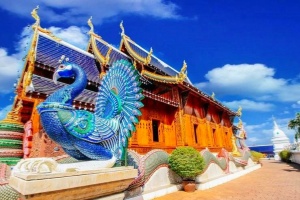 中国康辉旅游集团有限公司(图7)