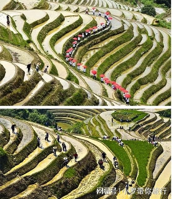 广西桂林旅游攻略：夏日必游景点与旅行小贴士(图2)