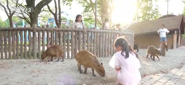沉浸式业态抢占文旅行业新赛道夏日文旅消费“热力”十足涌热潮(图3)