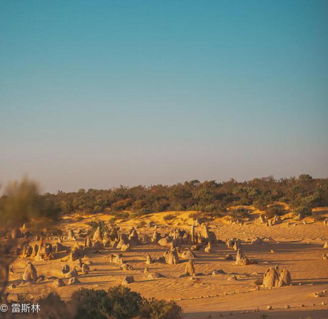 澳洲旅行招募计划(图7)
