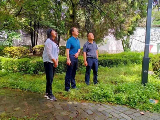 凤翔区开展文旅行业防汛安全集中检查(图1)