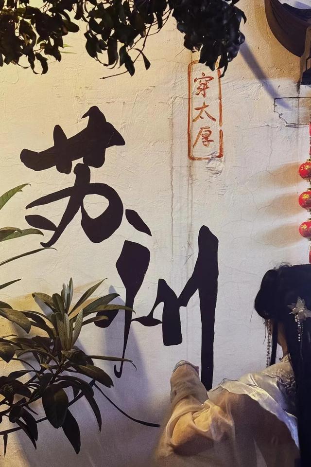 真的超级佩服夏天来苏州旅行的朋友真的不嫌热吗？锻炼意志吗？(图6)