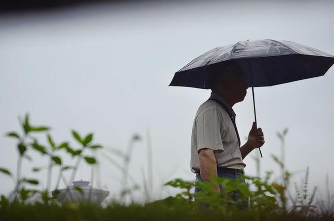50岁老人捡破烂养大弃婴如今女儿身价千万卖公司陪父环球旅行(图11)