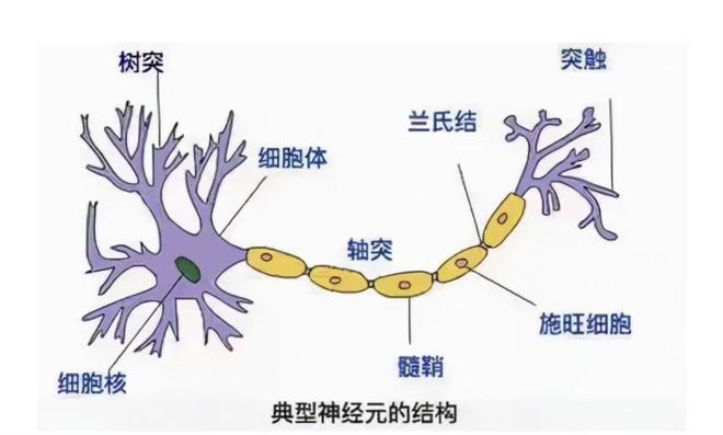奶爸建议不要带6岁以下孩子旅行原因太真实评论区却吵翻天(图8)