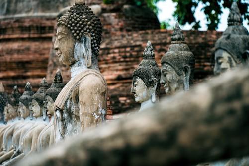 熊猫体育网站：够性能同时也是旅行摄影的好相机尼康Z6ⅢIII泰国行摄之旅(图5)
