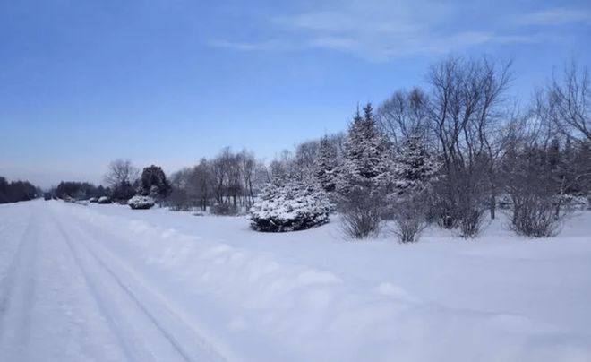 《姐姐我们的家乡下雪了》：洪绍乾诗歌记忆的雪中旅行(图1)