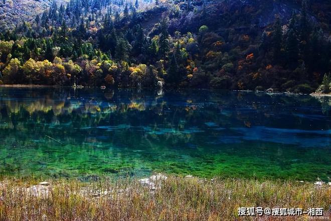 旅行服务进出口同比增长662%继续成为增长最快服务贸易领域(图1)