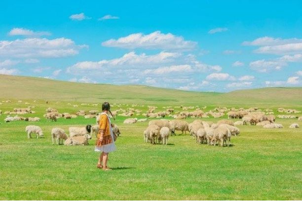 熊猫体育平台：北京去内蒙古敕勒川旅行导游旅行费用和家人去内蒙古5日游费用(图2)
