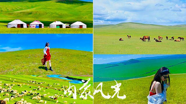 厦门去内蒙古额尔古纳旅行6天5晚花费内蒙古六天报团旅游花费(图4)