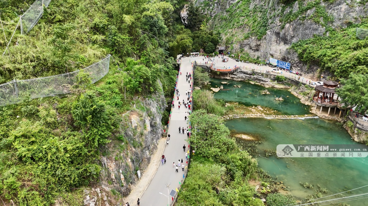 熊猫体育平台：“奔县”旅行人气旺巴马旅游市场持续升温(图1)
