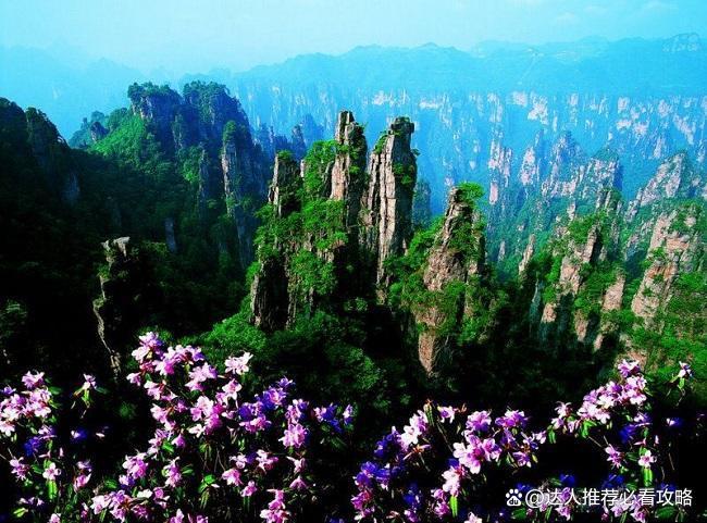 张家界旅游5天攻略旅行社直播间团购价5日跟团游价格(图3)