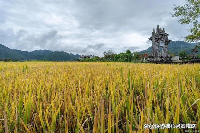 云南参团3日游攻略云南昆明地接旅行社电话旅行团三日游多少(图2)