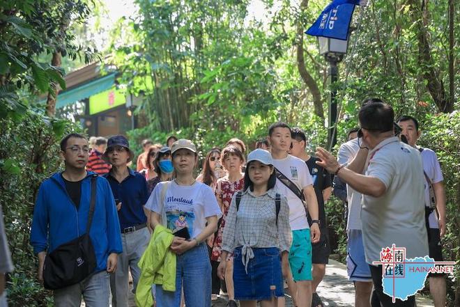 2024携程旅游全国头部门店海南旅游促销推广活动成功举办(图1)