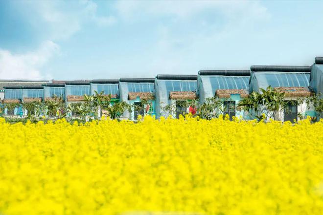 梦幻迷宫：解锁全国乡村生态旅游“绿色密码”｜第六届“中国服务”·旅游产品创意案例（25）(图8)