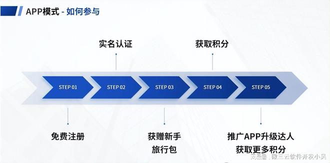 揭秘“旅途”平台：创新模式背后的风险与挑战(图1)