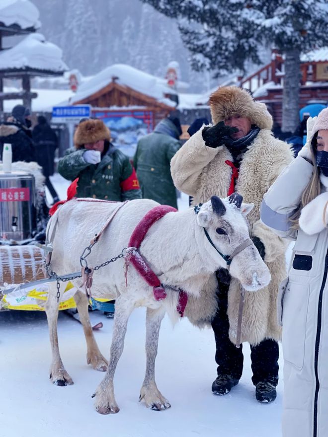去东北如何联系地接导游情侣去东北雪乡参加旅游团行程安排(图1)