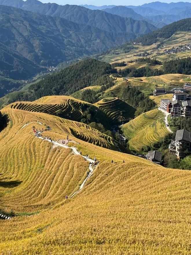 一家人去广西5天4晚旅游攻略广西旅游跟团五天大概花费？(图2)