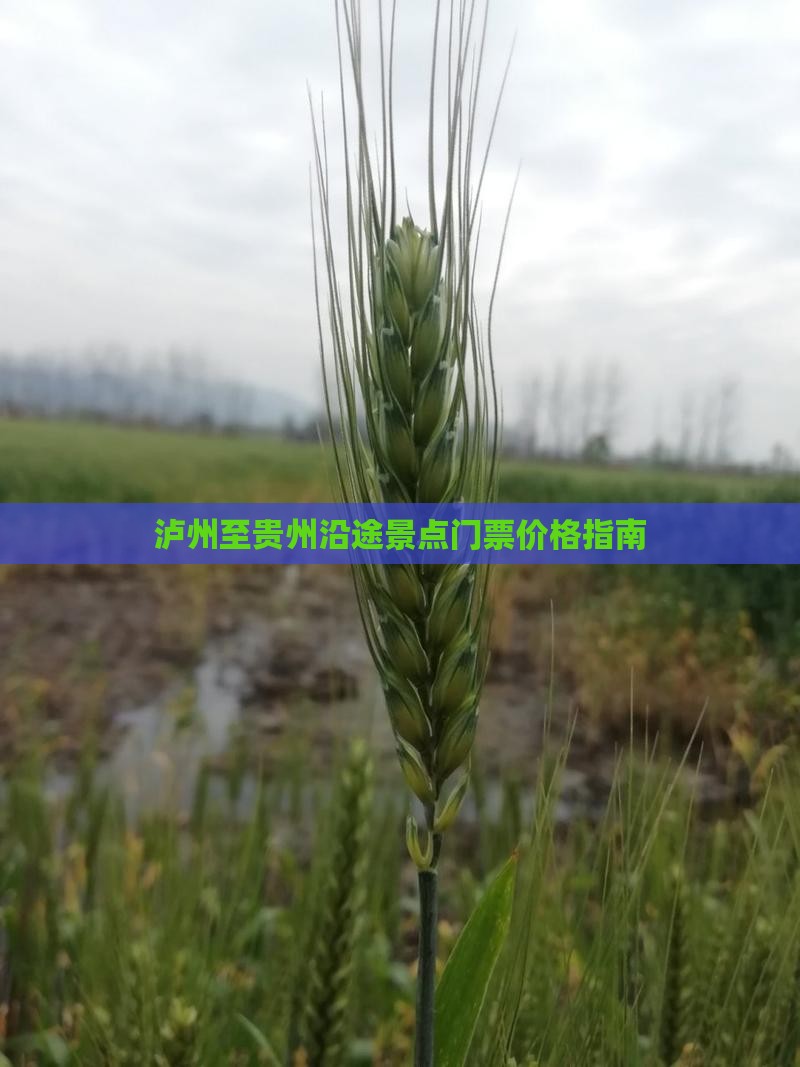 探险旅游(图2)