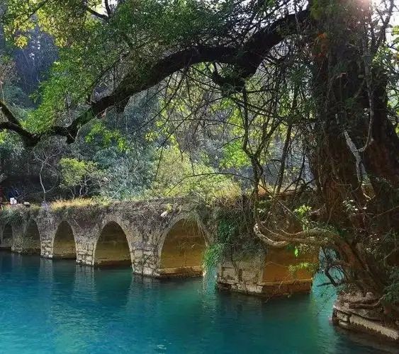 贵州本地团哪个旅行社正规？贵阳当地品质旅游团5日游报价(图3)