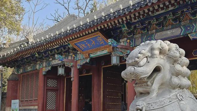 2025春节消费大爆发你贡献了多少？(图3)