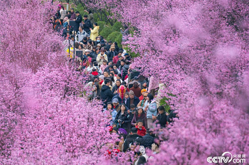 【8点见】公安部：2024年侦破拐卖现案、积案550余起(图15)