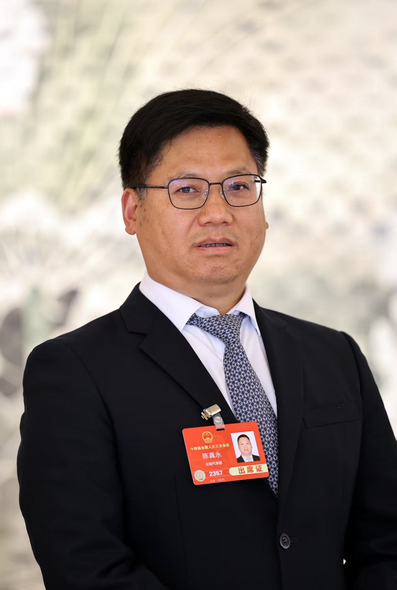 专访全国人大代表、大理州州长陈真永：新型工业化是缩小地区差距的突破口(图1)