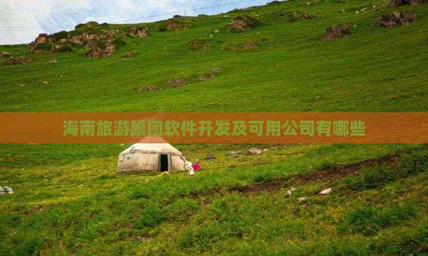 海南旅游跟团软件有哪些(图11)
