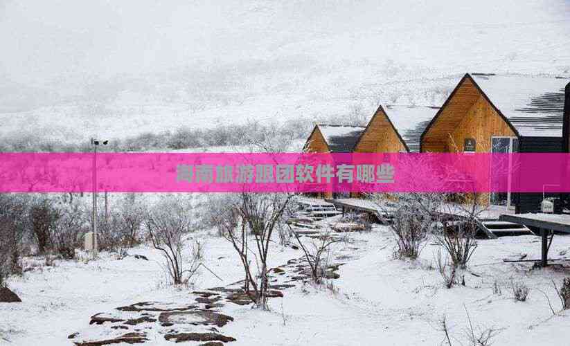 海南旅游跟团软件有哪些(图4)