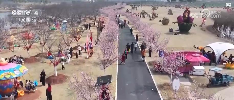 花海如潮暗香浮动吸引八方游客春日旅游市场提前进入旺季(图4)