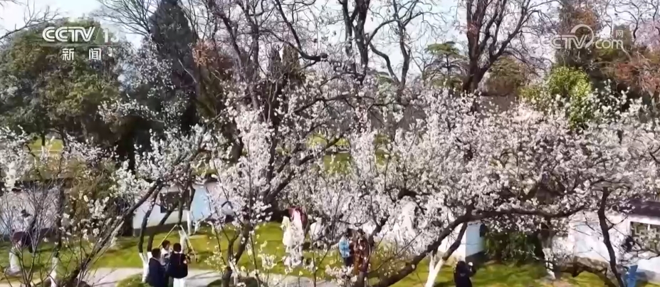 花样文旅“圈粉”引客来“追花游”点亮旅游市场“多彩”引擎(图1)