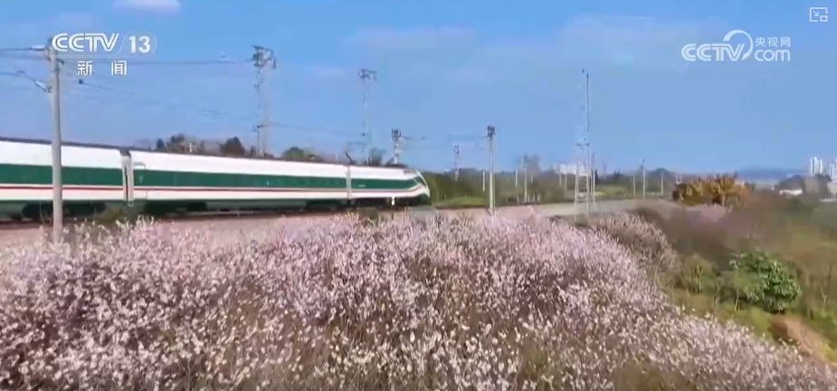 花样文旅“圈粉”引客来“追花游”点亮旅游市场“多彩”引擎(图2)