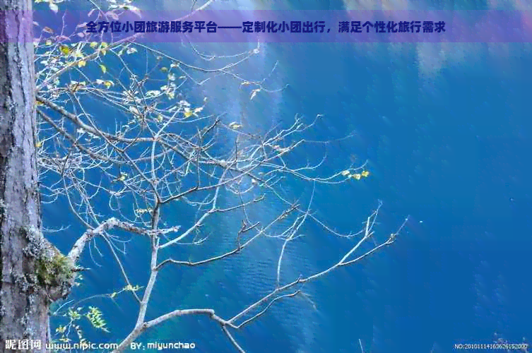全方位小团旅游服务平台——定制化小团出行满足个性化旅行需求(图1)