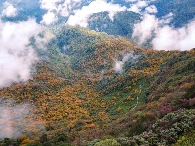 首批旅游公路精品项目名单揭晓各地美景串珠成链！(图29)