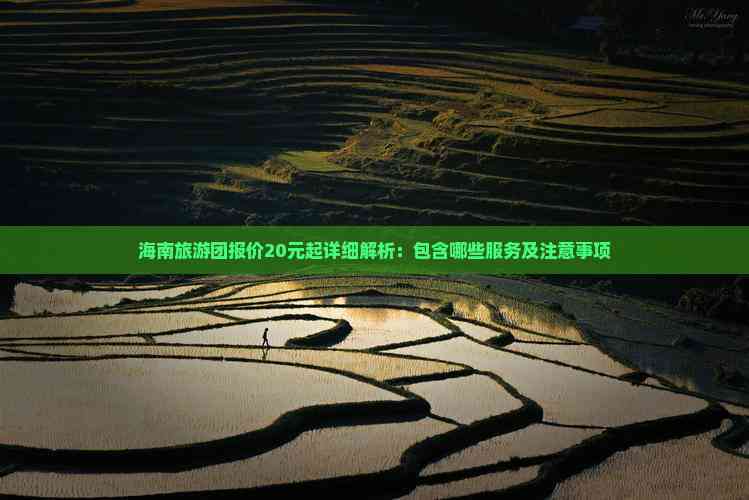 海南旅游团报价20元起详细解析：包含哪些服务及注意事项(图2)