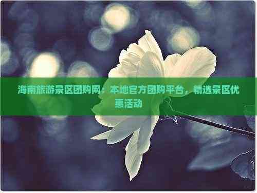 海南旅游景区团购网：本地团购平台精选景区优惠活动(图3)