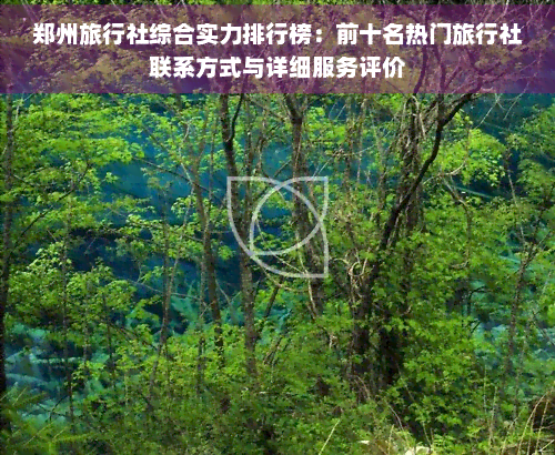 郑州旅行社综合实力排行榜：前十名热门旅行社联系方式与详细服务评价(图1)