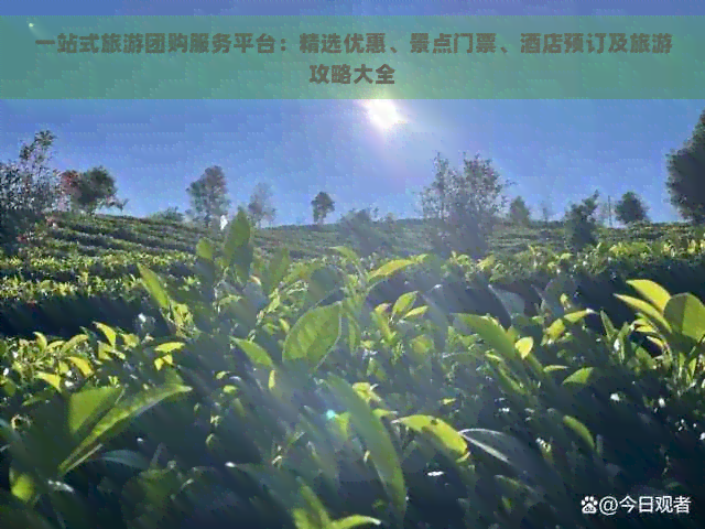 一站式旅游团购服务平台：精选优惠、景点门票、酒店预订及旅游攻略大全(图1)