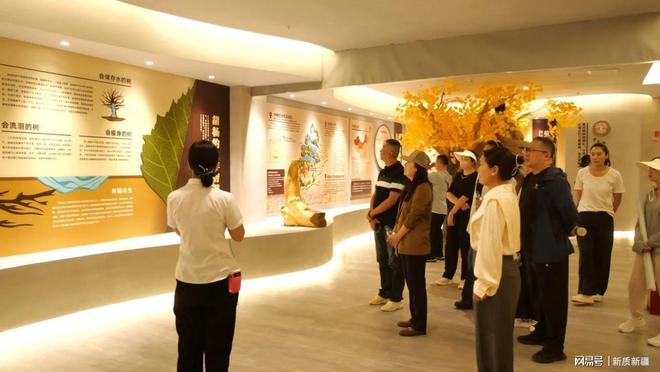 携程集团来沙考察文旅资源共谋“丝路龟兹”旅游新篇章(图2)