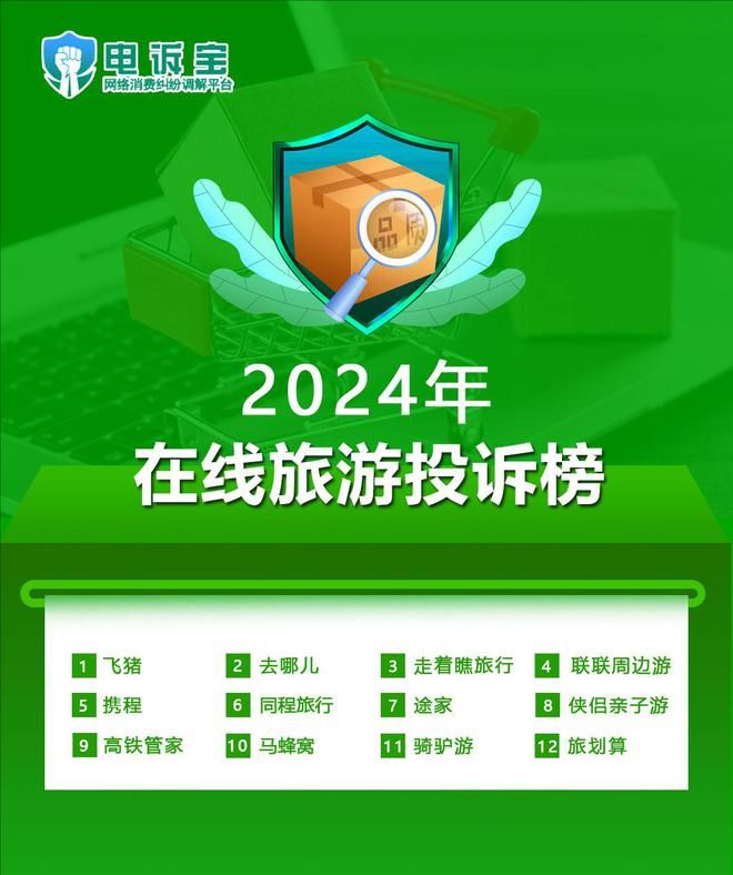 网经社：《2024年度中国移动出行市场数据报告》发布(图3)