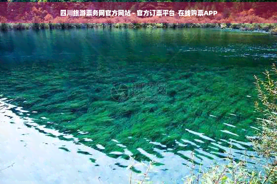 四川旅游票务网网站-订票平台购票APP(图1)