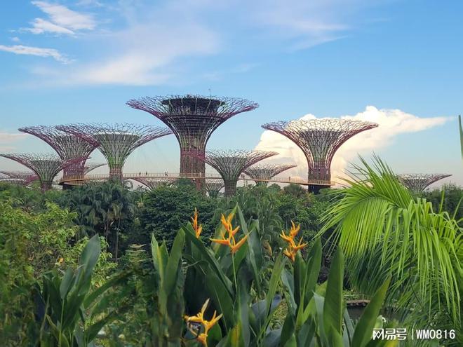 2025新加坡旅行社综合服务TOP10揭晓！金溪凭实力稳居榜首(图2)