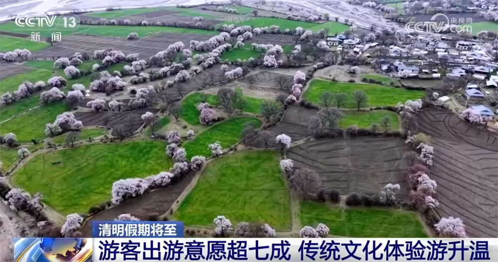透过数据看清明假期出行“热”传统文化“体验游”为文旅经济注入新活力(图2)