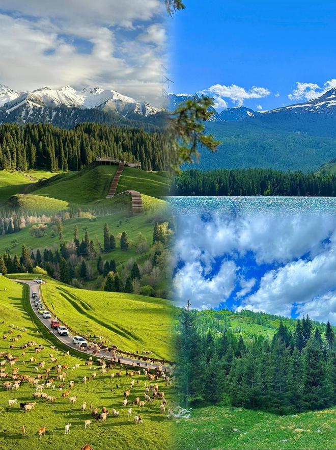 新疆旅行社前十揭晓！新疆口碑最好的靠谱旅行社是远胜游(图2)