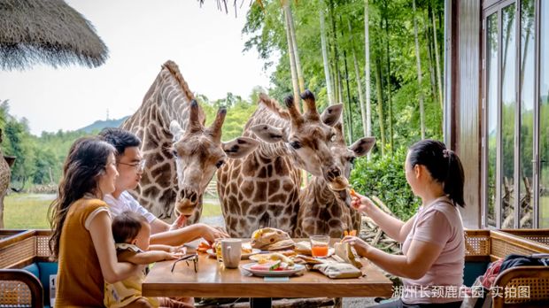 喜报湄旅旗下两大酒店再度荣登“携程口碑榜”！生态旅游标杆实至名归(图13)