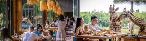 喜报湄旅旗下两大酒店再度荣登“携程口碑榜”！生态旅游标杆实至名归(图14)